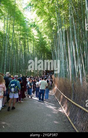 The bamboo forest at Arashiyama is filled strollers enjoying the striking bamboo trees. Stock Photo