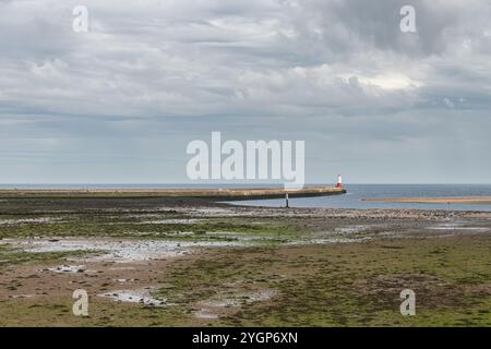 Low Tide at the River Tweed estuary with the Harbour Entrance Light Tower, in the distance, Berwick-Upon-Tweed, England Stock Photo