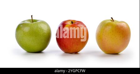Three apples in a row of different colors with a white background Stock Photo