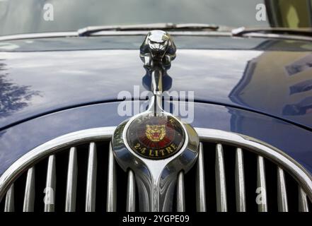 DUINO AURISINA, Italy - October 25, 2024: Detail of the front of the Jaguar 240 vintage car, produced in the years 1967-1969 Stock Photo