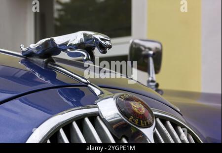 DUINO AURISINA, Italy - October 25, 2024: Detail of the front of the Jaguar 240 vintage car, produced in the years 1967-1969 Stock Photo