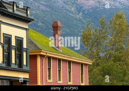 A red brick chimney and green moss on a roof top on a vintage building Stock Photo