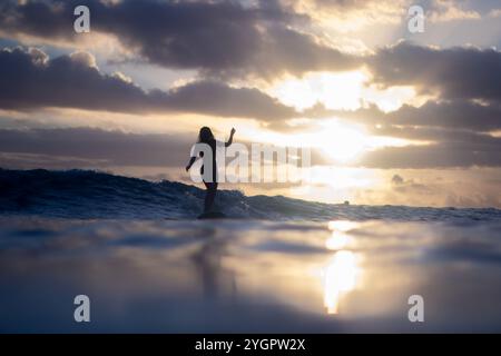 Surfer rides a Waikiki wave with a vibrant sunset backdrop. Stock Photo