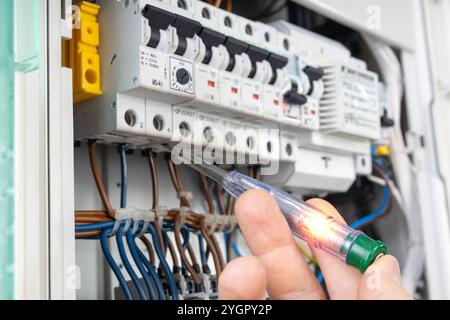 Hand Testing Electrical Circuit with Voltage Tester Stock Photo