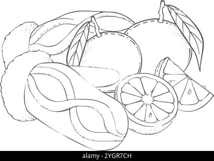 Vector Winter warm mittens with oranges and tangerines. New Year illustration on a white background. Christmas mood. Cozy composition. Design for postcards, typography, textiles Stock Vector