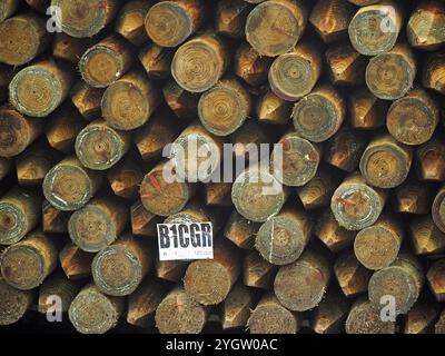 stacked wooden fence poles - alternate arrangement creating dramatic  pattern - single batch label with black letters on white paper creates highlight Stock Photo