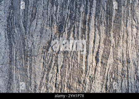 Textured stone surface with intricate patterns in natural light Stock Photo