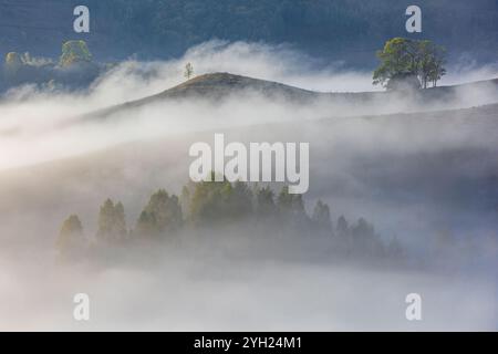 Early foggy morning surprised on an Romanian countryside during autumn. Photo taken on 13th of October 2024 in Dumesti, Transylvania region, Romania. Stock Photo