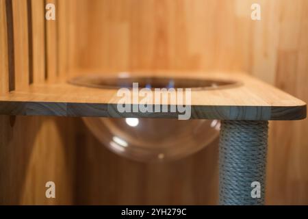 Clear bubble bowl for cat in the wooden box Stock Photo