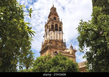 Bell Tower Torre de Alminar of the Mezquita Cathedral The Great Mosque in Cordoba, Spain, Europe Stock Photo