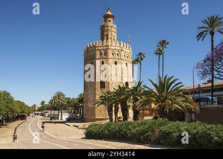 Torre del Oro Gold Tower medieval landmark from early 13th century in Seville, Spain, Andalusia region, Europe Stock Photo