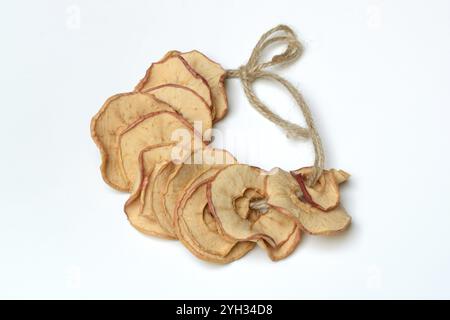 Apple rings strung on string, apple slices Stock Photo