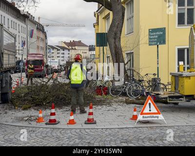 Tree work, Koeniginstrasse, Munich, Bavaria, Germany, Europe Stock Photo