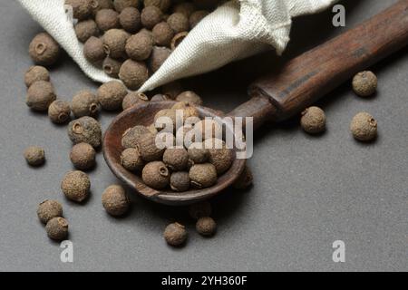 Allspice, peppercorns in wooden spoon, Pimenta dioica Stock Photo