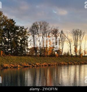 A group of trees on the river bank illuminated by the setting sun in autumn colors. Stock Photo