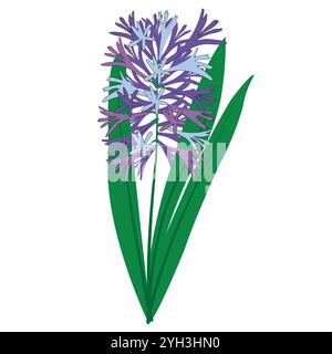 Hyacinth Hand draw single flower; wild Hiacinth stem and flowers; Doodle style stock vector illustration; greeting; invitation, notebook, bags; Stock Vector
