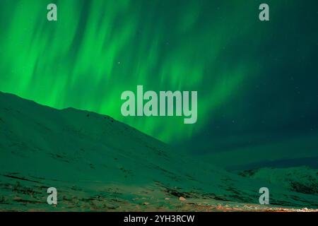 Northern Lights Aurora Borealis illuminate the sky in Alaska, United States Eagle River, Alaska, United States - November 9, 2024: The Aurora Borealis, known as Alaska s northern lights, presented a mesmerizing dance of light in the sky today. Triggered by recent solar flares, this aurora show created a unique visual experience in Alaska s dark and clear skies. The northern lights continue throughout the long winter nights, creating an unforgettable sight for nature lovers and photographers in the region. Copyright: xHASANxAKBASx Stock Photo