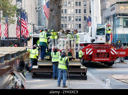 New York, United States. 09th Nov, 2024. Workers lift into place by crane the Rockefeller Center Christmas Tree when it arrives at Rockefeller Plaza in New York City on Saturday, November 9, 2024. Photo by John Angelillo/UPI Credit: UPI/Alamy Live News Stock Photo