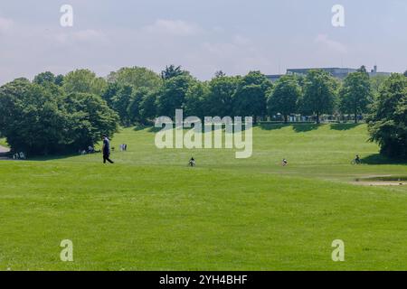 Bonn, Germany - May 21, 2024 : Panoramic view of the Rheinaue Park in Bonn Germany Stock Photo