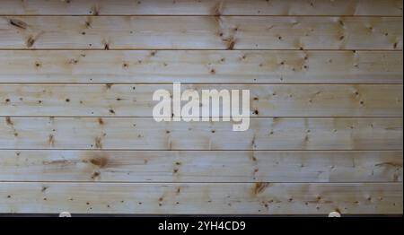knotty planed boards of light wood in interior structure, background texture of natural wood, space of horizontal planks with empty copy paste Stock Photo