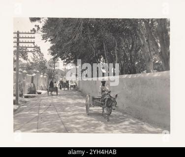 Cart pulled by a donkey on A street in Barbados, ca 1907.   Vintage Archive Photograph, from 1900s by Sir William Dixson from Dixson Library, State Library of New South Wales Stock Photo