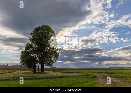 Broumov basin, Eastern Bohemia, Czech Republic Stock Photo