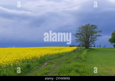 Broumov basin, Eastern Bohemia, Czech Republic Stock Photo