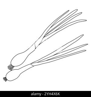 Green onion, chives or scallion, doodle style flat vector outline illustration for kids coloring book Stock Vector