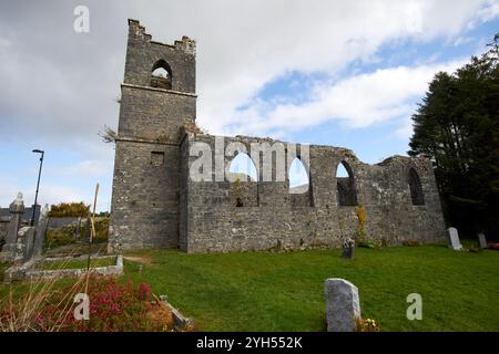 ruins of the cong church of ireland church, county mayo, republic of ireland Stock Photo