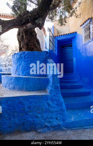Blue colored retaining wall around a tree at a house in Chefchaouen, Morocco. Stock Photo