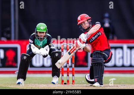 Melbourne, Australia, 9 November, 2024. Courtney Webb of Melbourne Renegades bats during Weber Women's Big Bash League (WBBL10) T20 match between Melbourne Renegades Women and Melbourne Stars Women at the CitiPower Centre Junction Oval on November 09, 2024 in Melbourne, Australia. Credit: Santanu Banik/Speed Media/Alamy Live News Stock Photo