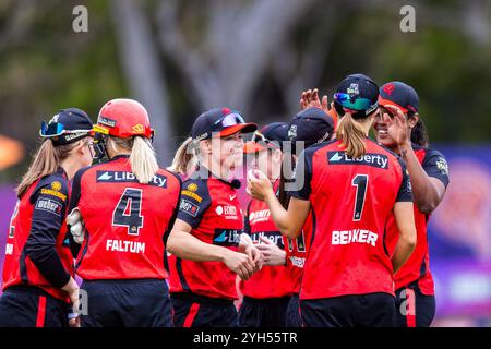 Melbourne, Australia, 9 November, 2024. Melbourne Renegades players celebrate during Weber Women's Big Bash League (WBBL10) T20 match between Melbourne Renegades Women and Melbourne Stars Women at the CitiPower Centre Junction Oval on November 09, 2024 in Melbourne, Australia. Credit: Santanu Banik/Speed Media/Alamy Live News Stock Photo