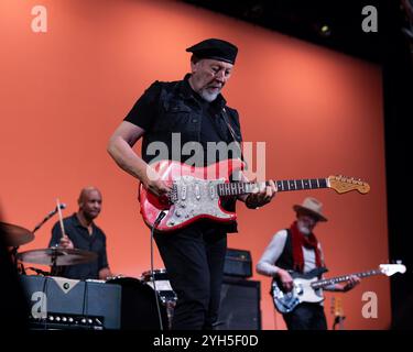 Grass Valley, United States. 06th Nov, 2024. Richard Thompson performs at The Center for the Arts in Grass Valley, Calif., on November 6, 2024. (Photo by Penny Collins/NurPhoto) Credit: NurPhoto SRL/Alamy Live News Stock Photo