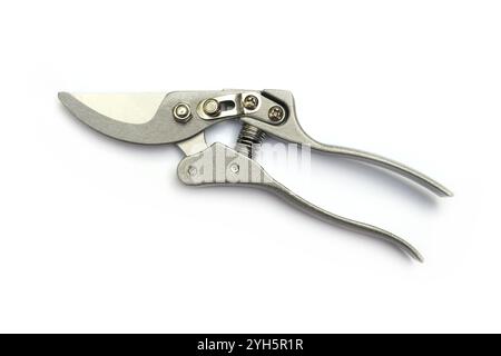 Silver garden secateurs isolated on a white background. Stock Photo
