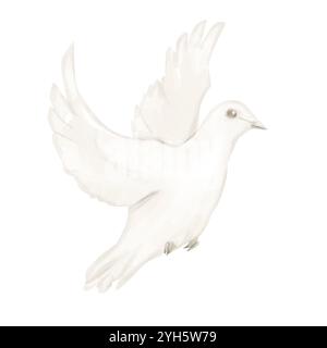 Dove Beige in Flight Illustration Digital Watercolor for Printing and Web Stock Photo