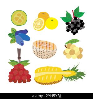 A Diverse Selection of Delicious Fresh Fruits Stock Vector