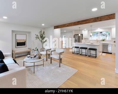 Modern residential living room and kitchen interior Stock Photo