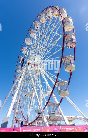 The Giant Wheel from Moseley Square, Glenelg, Adelaide, South Australia, Australia Stock Photo