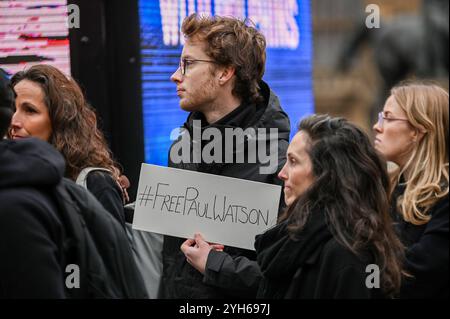 London, UK. 09th Nov, 2024. A demonstrator is seen holding a placard that says '# Free Paul Watson' during the rally. Demonstrators gathered in Westminster to ask for the release of anti-whaling activist Paul Watson who was arrested in Greenland under an international warrant issued by Japan. Credit: SOPA Images Limited/Alamy Live News Stock Photo