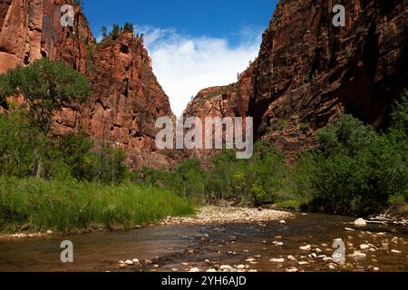 The North Fork of the Virgin River Exits the Narrows in Zion National Park Stock Photo