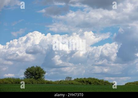 White clouds blue sky. White clouds are seen against the blue sky Stock Photo