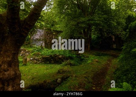 Caldeira do Mosteiro is an abandoned hamlet inside a volcanic crater, composed of 10 houses and a few barns in the parish of Mosteiro, Lajes das Flore Stock Photo