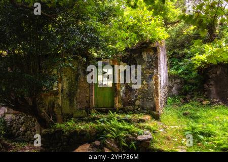 Caldeira do Mosteiro is an abandoned hamlet inside a volcanic crater, composed of 10 houses and a few barns in the parish of Mosteiro, Lajes das Flore Stock Photo