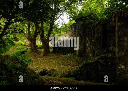 Caldeira do Mosteiro is an abandoned hamlet inside a volcanic crater, composed of 10 houses and a few barns in the parish of Mosteiro, Lajes das Flore Stock Photo