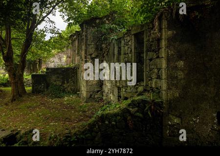 Caldeira do Mosteiro is an abandoned hamlet inside a volcanic crater, composed of 10 houses and a few barns in the parish of Mosteiro, Lajes das Flore Stock Photo