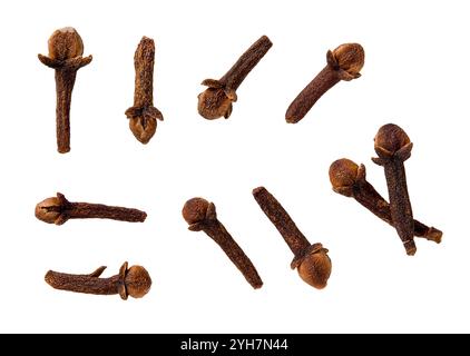 Set of whole organic clove buds cutout. Macro. Variety of dry organic cloves spice isolated on a white background. Cooking and herbal medicine concept Stock Photo
