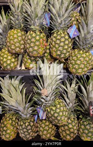 Altenkirchen Themenfoto: Nahrungsmittel, Obst, Frucht, Pfalnze, Ananas, 09.11.2024 Fruechte der Ananas werden in einem Markt angeboten Themenfoto: Nahrungsmittel, Obst, Frucht, Pfalnze, Ananas, 09.11.2024 Copyright: xAugstx/xEibner-Pressefotox EP jat Stock Photo