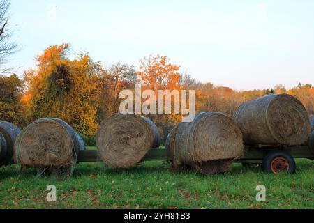 Beautiful Fall Colors And Hay Bales At Sunrise Stock Photo