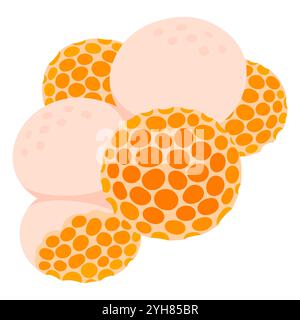 Digüeñe (Cyttaria espinosae) edible ascomycete fungus native to Chile and Argentina. Simple cartoon vector illustration. Stock Vector