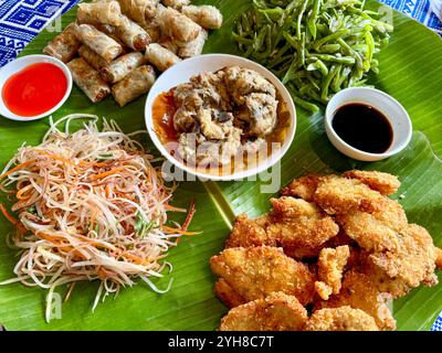 Family Style Meal in Vietnam - Catfish, green beans, fried spring rolls, papaya salad, and chicken bites Stock Photo